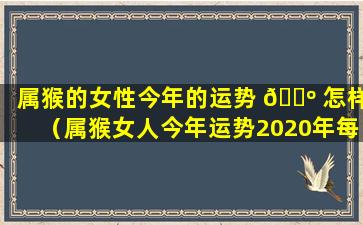 属猴的女性今年的运势 🌺 怎样（属猴女人今年运势2020年每月运势）